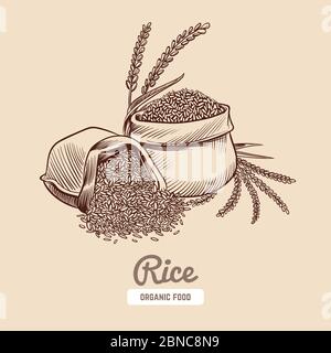 Arrière-plan du riz. Bol tiré à la main avec grains de riz et oreilles. Concept de vecteur alimentaire japonais. Illustration du grain de riz, semence dans un sac Illustration de Vecteur