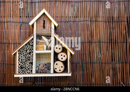 Hôtel de insectes ou de insectes dans un jardin arrière, Royaume-Uni Banque D'Images