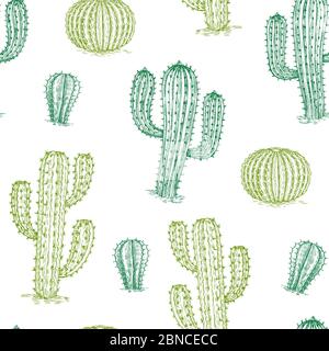 Motif sans couture avec cactus. Les plantes désertiques dessinées à la main cactus refont la texture vectorielle. Illustration du désert de cactus, illustration de fond d'été de plante Illustration de Vecteur