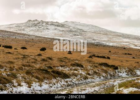 West Mill Tor, à gauche, et Yes Tor, à droite, paysage de la lande d'hiver du nord du Dartmoor, parc national du Dartmoor, Devon, Angleterre, Royaume-Uni. Banque D'Images