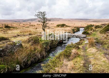 Pont de Clapper au-dessus du Waller Brook sur Scorhill Down, parc national de Dartmoor, Devon, Angleterre, Royaume-Uni. Banque D'Images