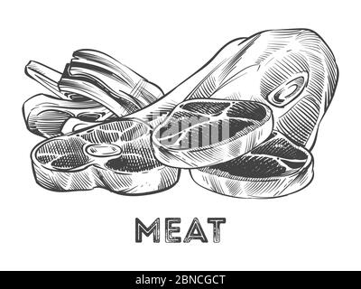 Steak tiré à la main, côtes, viande fraîche isolée sur fond blanc. Illustration vectorielle Illustration de Vecteur