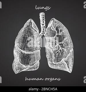 Poumons. Icône réaliste dessinée à la main des organes internes humains sur tableau noir. Art de gravure style d'esquisse. Concept de conception pour vos projets médicaux post Illustration de Vecteur