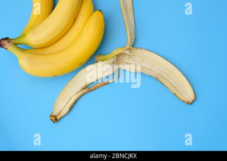 Un bouquet de bananes et peler d'une banane sur fond bleu. Les avantages de manger des bananes, régime. Retirez le tout d'une vue sur le dessus de la banane. Banque D'Images