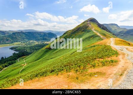 La crête de Catbells dans le district du lac avec Derwentwater Et Borrowdale ci-dessous Banque D'Images