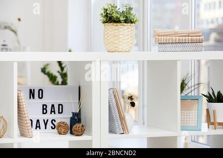 Gros plan des étagères avec livres et fleurs dans la chambre intérieure Banque D'Images