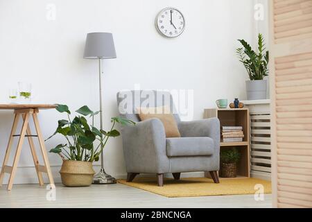 Image d'un fauteuil confortable avec d'autres meubles modernes dans la chambre domestique Banque D'Images