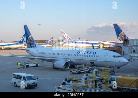 Chiba, Japon - Mars 24, 2019 : Avis de United Airlines avion, une grande compagnie aérienne américaine basée à la Willis Tower à Chicago, Illinois, stationnement à Banque D'Images