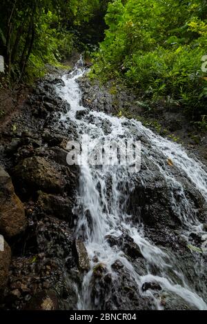 Vue sur l'eau douce, bruyante et intense de Tumpak Sewu Waterfall, à Java-est, Indonésie. Banque D'Images