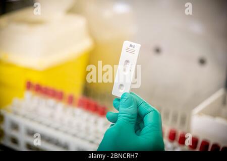 COVID-19 tests sérologiques pour les individus, laboratoire d'analyse microbiologique et virologique du pôle scientifique et technologique PST, Groupe MultiMedica. Jusqu'à 400 tests par jour sont analysés en laboratoire pour confirmer la présence d'anticorps dans le sang. Carte d'un patient qui a obtenu des résultats positifs pour les anticorps IGG (Marco Passaro/Fotogramma, - 2020-05-14) p.s. la foto e' utilizzabile nel rispetto del contenesto in cui e' stata scattata, e senza intento diffamatorio del decoro delle persone rappresentate Banque D'Images