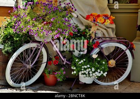 Vélo couvert de différentes fleurs colorées en Italie Banque D'Images