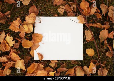 Papier blanc vierge sur les feuilles séchées Banque D'Images