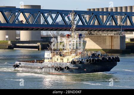 Le remorqueur du port de Svitzer Mallaig travaille dans le port de Rotterdam le 12 mars 2020. Banque D'Images