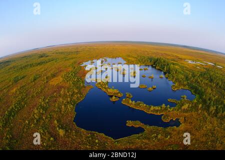 Vue aérienne de Raba Muraka piscines tourbière et d'îlots, prises avec objectif fisheye, est de l'Estonie. Août 2011 Banque D'Images