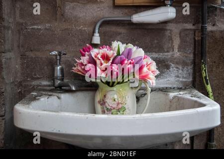 Vase de fleurs dans un ancien évier de garage Banque D'Images