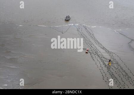 Pêche au filet maillant pour le saumon rouge (Oncorhynchus nerka) de la côte, à la pointe du cimetière, à Bristol Bay, Alaska, États-Unis, juillet 2015. Banque D'Images