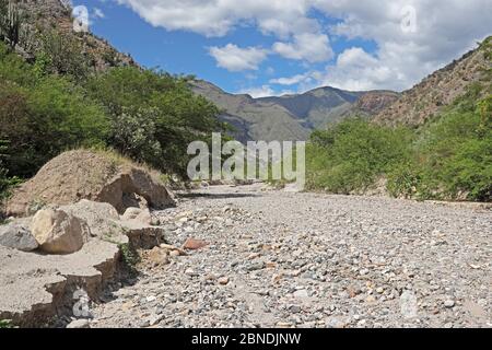 Vue le long de la section sèche de la rivière Maranon, Balsas, Pérou Mars Banque D'Images