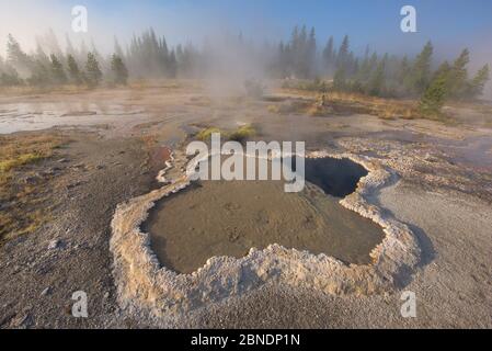 En forme de fleur de lys fleur de lis du printemps, dans le groupe d'Orion de geysers, Shoshone Geyser Basin, Parc National de Yellowstone, Wyoming, USA, août 2015. Banque D'Images