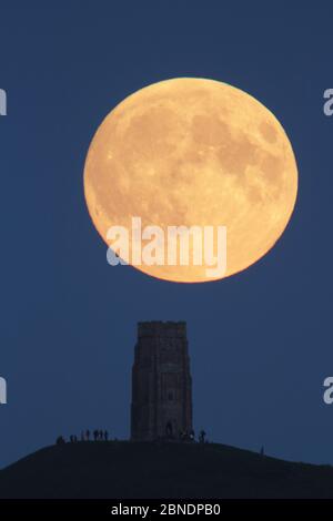 Super lune se levant au-dessus de Glastonbury Tor avec des gens qui regardent, Somerset, Angleterre, Royaume-Uni, 27 septembre 2015. Banque D'Images