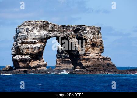 Arc de Darwin, une impressionnante voûte de lave naturelle de 50 mètres de haut, au large de l'île de Darwin, des îles Galapagos, de l'océan Pacifique est Banque D'Images