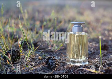 Une bouteille de parfum se tient sur le sol entre cônes et aiguilles. Bouteille rectangulaire en verre sur le sol dans la forêt du matin. Produits de parfumerie. Fermer Banque D'Images