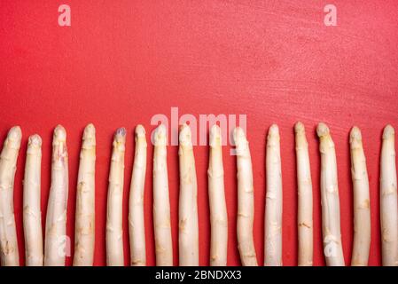 Asperges blanches bio sur fond rouge vue de dessus. Asperges blanches allemandes fraîchement récoltées. Banque D'Images