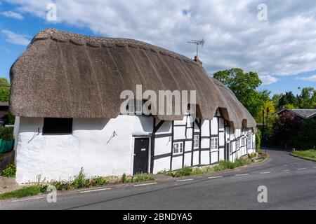 Rangée de chalets de chaume encadrés de bois dans le Hampshire Village de Wherwell, Test Valley, Hampshire, Angleterre, Royaume-Uni. Banque D'Images