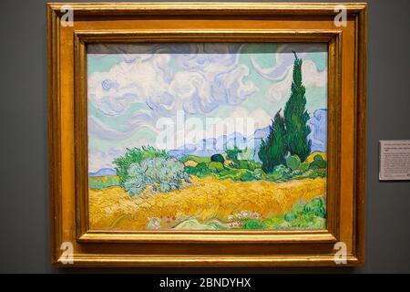 Un champ de blé, avec des cyprès de Vincent van Gogh Banque D'Images