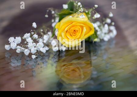 Bouquet de roses anglaises Banque D'Images