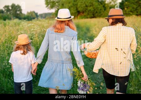 Femme avec deux filles marchant dans la prairie avec panier, vue arrière Banque D'Images