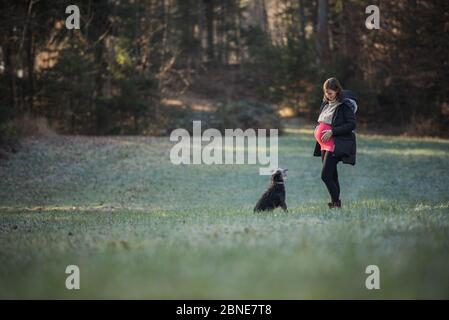 Belle vue de la jeune femme enceinte touchant son ventre gonflé regardant son chien noir comme ils se tiennent dans la prairie verte sur le bord de la forêt d'automne. Banque D'Images