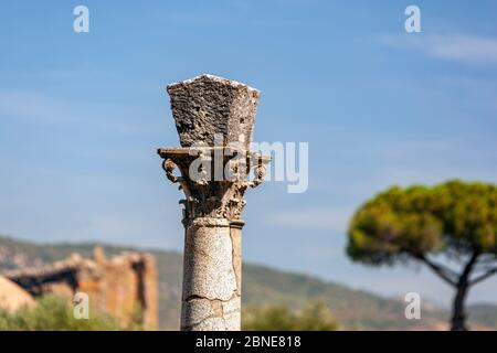 Capitale Corinthienne près de Piccole terme, Villa Adriana , Villa Hadrien, Tivoli, Italie Banque D'Images