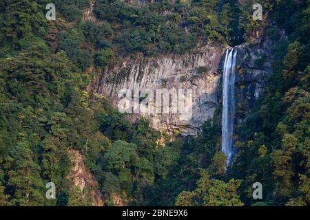 Nachi tombe, l'un des trois principaux sanctuaires sur les chemins de pèlerinage de Kumano Kodo, Kansai, Japon, novembre 2008. Banque D'Images