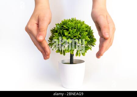 Sauver la planète. Petite plante dans les mains de l'enfant. Concept d'écologie Banque D'Images