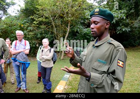 Les touristes regardant comme guide explique la règle de rester au moins 7 mètres de Gorillas, forêt impénétrable de Bwindi, Ouganda, février 2016. Banque D'Images