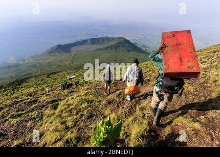 Porteurs transportant des bagages et de l'équipement vers le bas de la volcan Nyiragongo, République démocratique du Congo (RDC). Septembre 2015. Banque D'Images