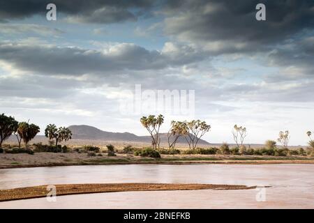 D'Ewaso Ngiro Rivière paysage, Samburu Game Reserve, Kenya, Afrique, août. Banque D'Images