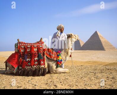 Chauffeur de chameau avec chameau, les grandes pyramides de Gizeh, Gizeh, Govergate de Gizeh, République d'Égypte Banque D'Images