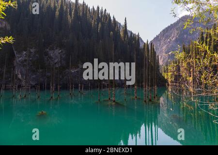 Lac de Kaindy - lac de montagne au Kazakhstan Banque D'Images