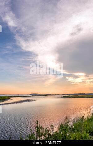 Pêche au grand héron sur un banc de sable pendant un magnifique coucher de soleil à Chesapeake Bay au refuge de la faune de Blackwater dans le Maryland avec orientation verticale Banque D'Images