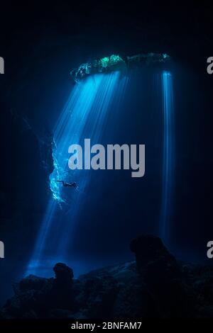 Un plongeur en poutres de soleil dans un cenote à Quintana Roo, Mexique. Banque D'Images