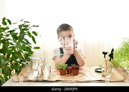 L'enfant s'occupe des plantes germées dans des pots. L'eau qui éclabousse devant lui prend son but. Banque D'Images