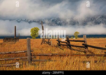 WY04309-00....WYOMING - vieilles clôtures dans les champs le long de la zone historique de Mormon Row dans le parc national de Grand Teton. Banque D'Images