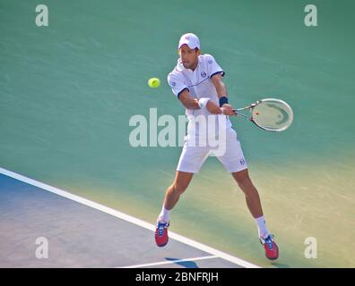 Joueur de tennis pro Novak Djokovic Banque D'Images