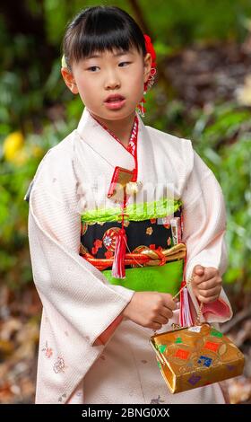 Une fille portant un kimono traditionnel au sanctuaire Meiji à Tokyo, au Japon, pour la célébration de la récolte. Banque D'Images