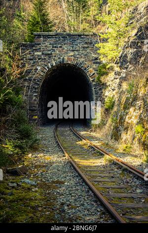 Plan vertical des rails et d'un tunnel recouvert de plantes Banque D'Images