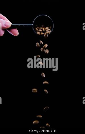 Photo verticale d'une main humaine qui verse des grains de café d'une cuillère à fond noir Banque D'Images