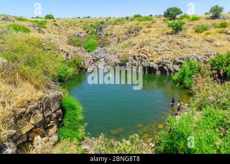 Qatsren, Israël - 12 mai 2020: Vue sur la piscine des piliers hexagonaux de Zavitan, avec baignade des visiteurs, dans la réserve naturelle de la forêt de Yehudiya, la hauteur du Golan Banque D'Images