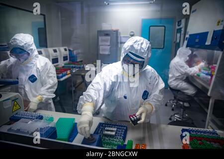 Pékin, Chine. 15 mai 2020. Les membres du personnel font des tests d'acide nucléique dans un laboratoire de Guangzhou, dans la province de Guangdong, dans le sud de la Chine, le 13 février 2020. POUR ALLER AVEC LES TITRES DE XINHUA DU 15 MAI 2020 crédit: Xinhua/Alay Live News Banque D'Images