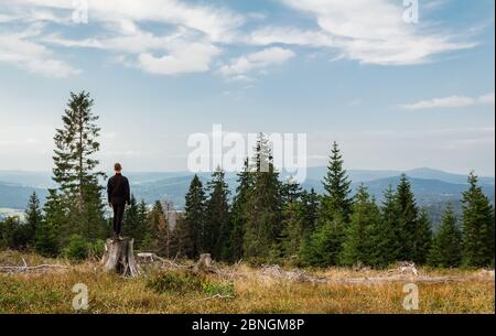 Jeune coureur debout sur une souche dans le parc national de Sumava et la forêt bavaroise, la république tchèque et l'Allemagne Banque D'Images